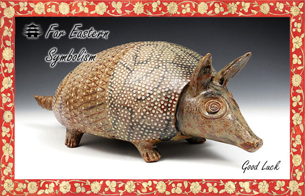 2023's 10 Armadillo Symbolism Facts & Meaning: A Totem, Spirit & Power  Animal | HEP6