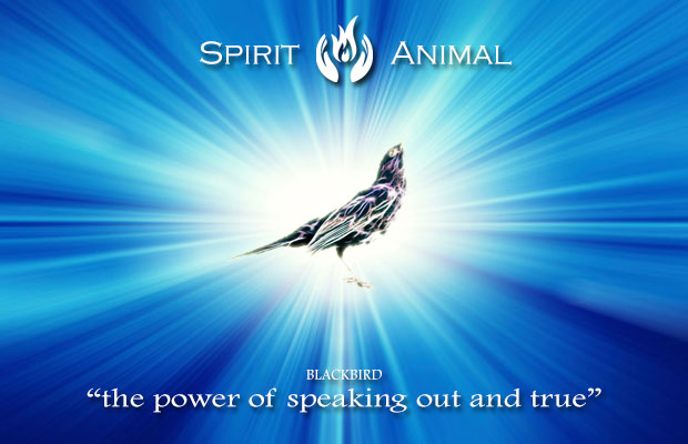2023's 10 Blackbird Symbolism Facts & Meaning: A Totem, Spirit & Power  Animal | HEP6