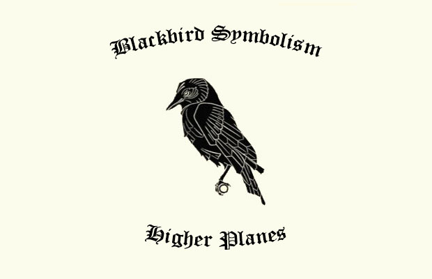 Blackbird Symbolism & Meaning  Blackbird Spirit, Totem & Power Animal