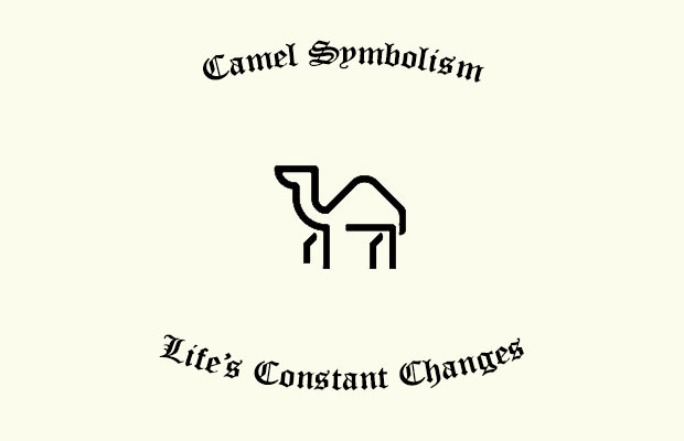 2023's 10 Camel Symbolism Facts & Meaning: A Totem, Spirit & Power Animal |  HEP6
