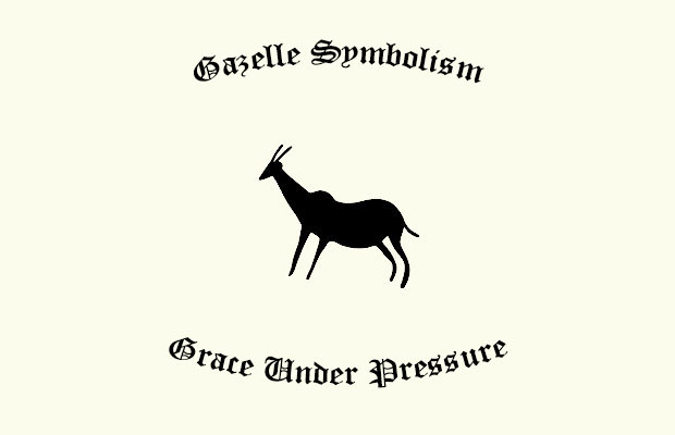 2023's 10 Gazelle Symbolism Facts & Meaning: A Totem, Spirit & Power Animal  | HEP6