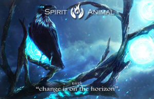 10 Raven Symbolism, Myths & Meaning: A Totem, Spirit & Power Animal – HEP6