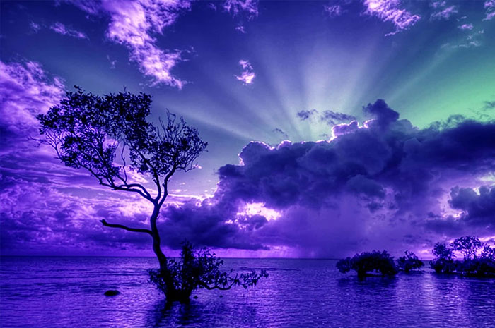 10 Blue Violet Color Symbolism Facts & Meaning: Zodiac, Omens, Dreams, and Myths