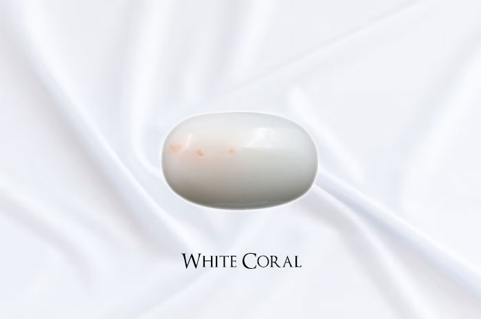 10 White Coral Gemstone Symbolism Facts & Meaning: Zodiac, Superstitions, Dreams, and Myths
